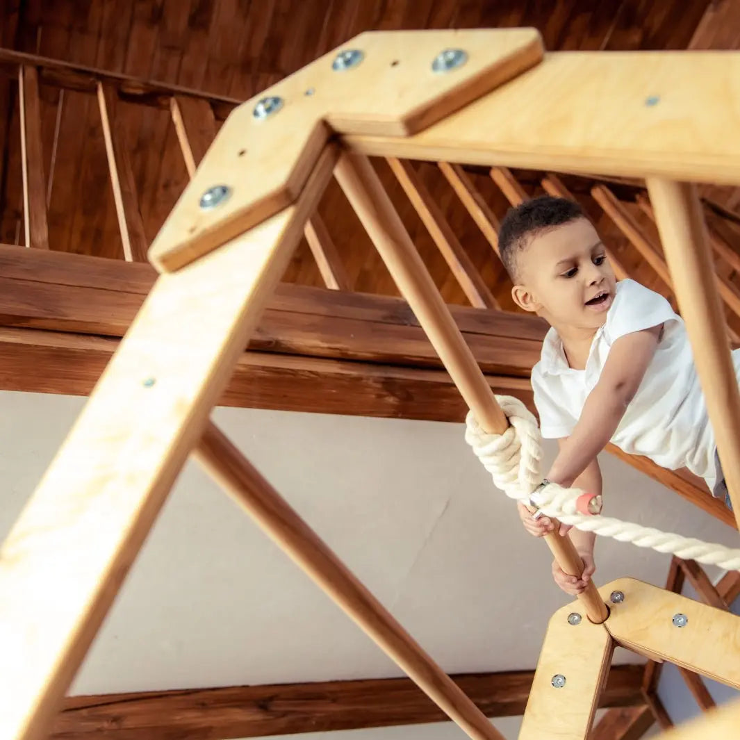 Indoor Wooden Playhouse with Triangle ladder, Slide Board and Swings - Goodevas